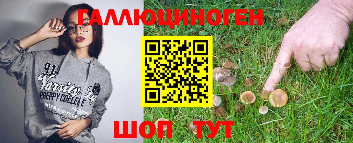 Галлюциногенные грибы прущие грибы Ишим
