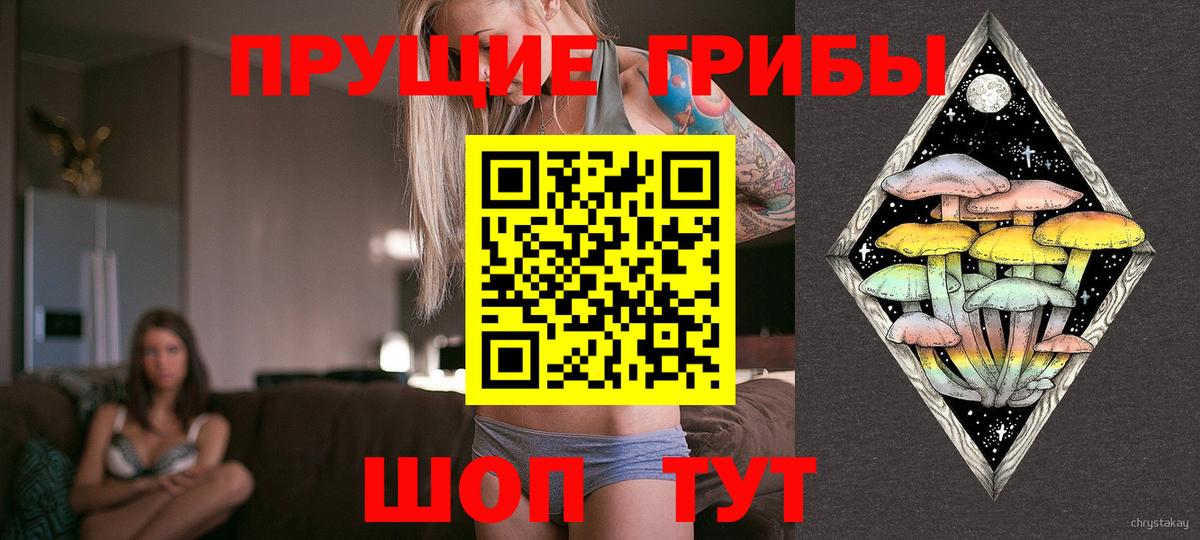 Галлюциногенные грибы Magic Shrooms  Псилоцибиновые грибы мицелий  Вход с VPN  Ишим 
